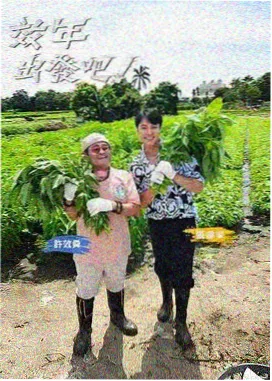 弱光补光顺序笔记配图